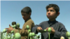 children's working in opium fields 