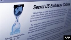 WikiLeaks'e Bir İnternet Darbesi Daha